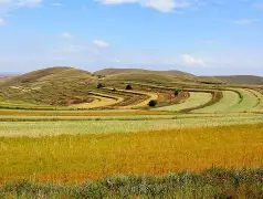 就有娱乐-关于塞北雷霆队鏖战滇池金雕队，马拉松超级杯爆冷，转换速度占优。定位球制造杀机的信息